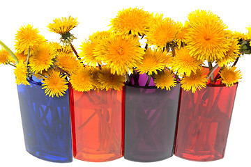 Image showing Yellow dandelions