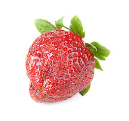 Image showing Ripe berry of the strawberries