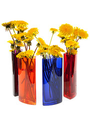 Image showing Yellow dandelions