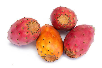 Image showing Cactus fruits