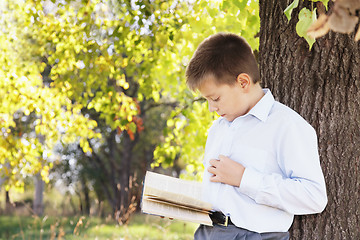 Image showing Boy reading book in park