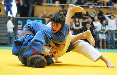 Image showing Judo