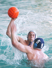 Image showing Water Polo