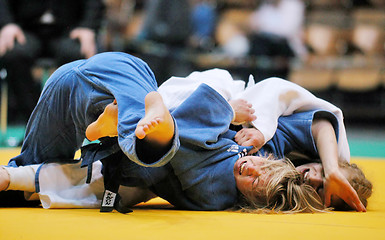 Image showing Judo