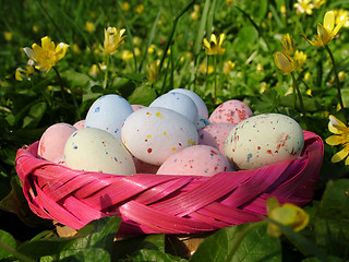 Image showing Easter Eggs (oeufs)