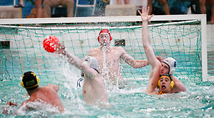 Image showing Water Polo