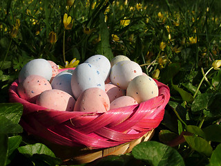 Image showing Easter Eggs (oeufs)