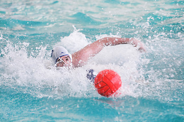 Image showing Water Polo