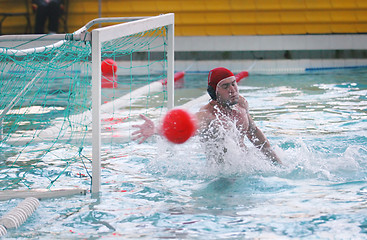 Image showing Water Polo