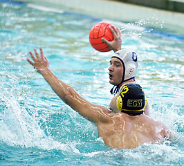 Image showing Water Polo