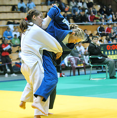 Image showing Judo