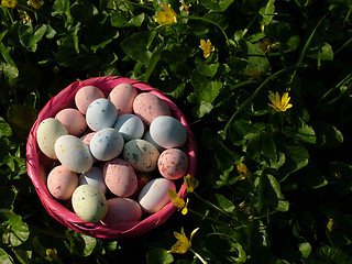 Image showing Easter Eggs (oeufs)