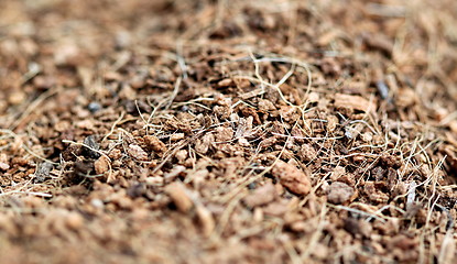 Image showing mulch