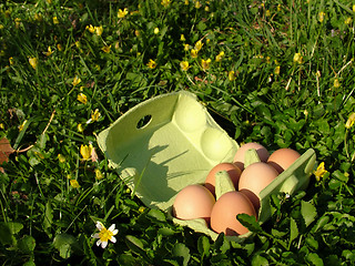 Image showing Easter Eggs (oeufs)