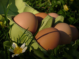 Image showing Easter Eggs (oeufs)