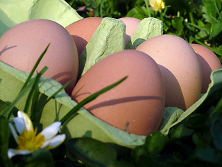 Image showing Easter Eggs (oeufs)