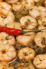 Image showing Spicy shrimps tapa