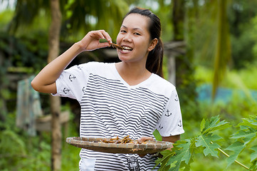 Image showing woman eating fried insects