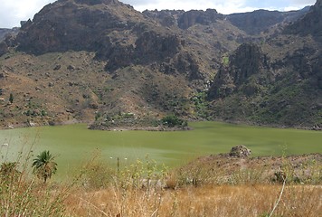 Image showing Green lake