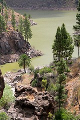 Image showing Green lake