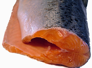 Image showing Salmon