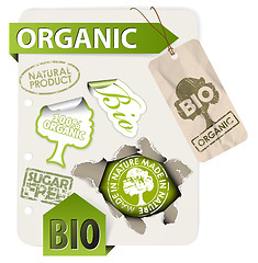 Image showing Set of bio, eco, organic elements