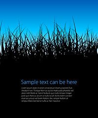 Image showing Blue vector grass background