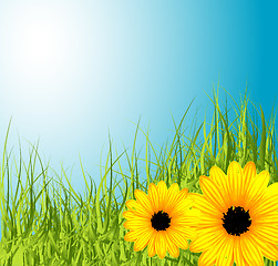 Image showing Spring meadow with flowers