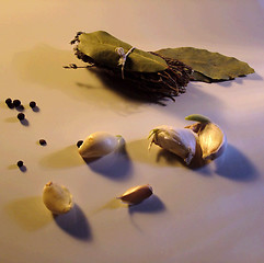 Image showing Spice