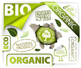 Image showing Set of bio, eco, organic elements