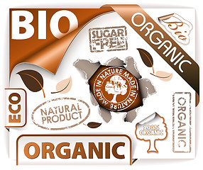 Image showing Set of bio, eco, organic elements