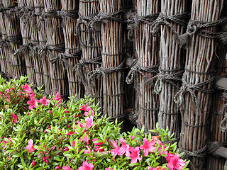 Image showing Fence and flowers