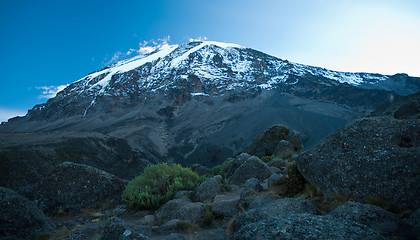 Image showing Kilimanjaro