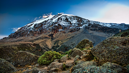 Image showing Kilimanjaro