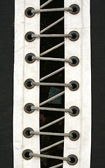 Image showing Laces