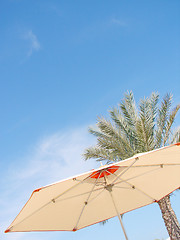 Image showing Beach Umbrella, palm and Sky