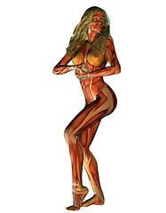 Image showing structure of muscle of a woman in strength pose - white