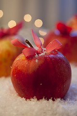 Image showing Christmas apples