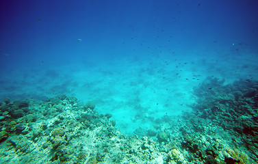 Image showing underwater