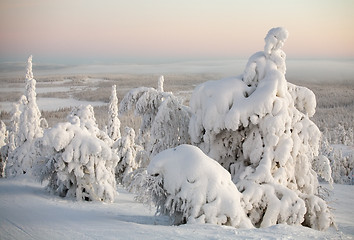 Image showing winter landscape