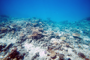 Image showing underwater