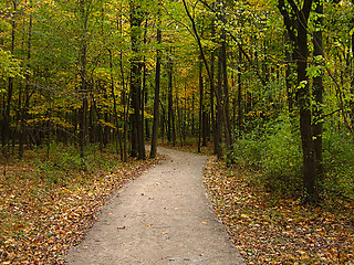 Image showing Autumn Hike