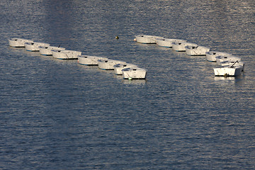 Image showing two columns of white boats