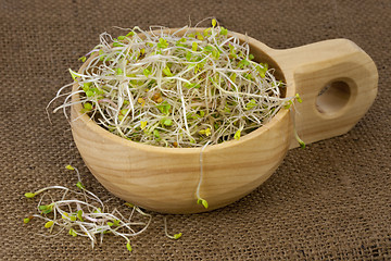 Image showing broccoli, radish and clover sprouts in a wooden bowl