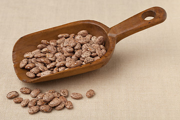 Image showing rustic scoop of pinto beans