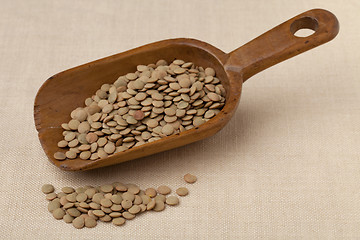Image showing rustic scoop of green lentils