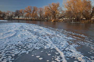 Image showing winter on South Platte River near Greeley, Colorado