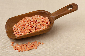 Image showing rustic scoop of red lentils