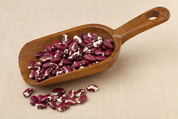 Image showing rustic scoop of Anasazi beans