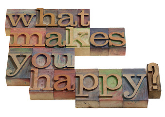 Image showing What makes you happy?